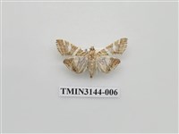 藏品(螟蛾291)的圖片